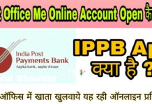 Ippb